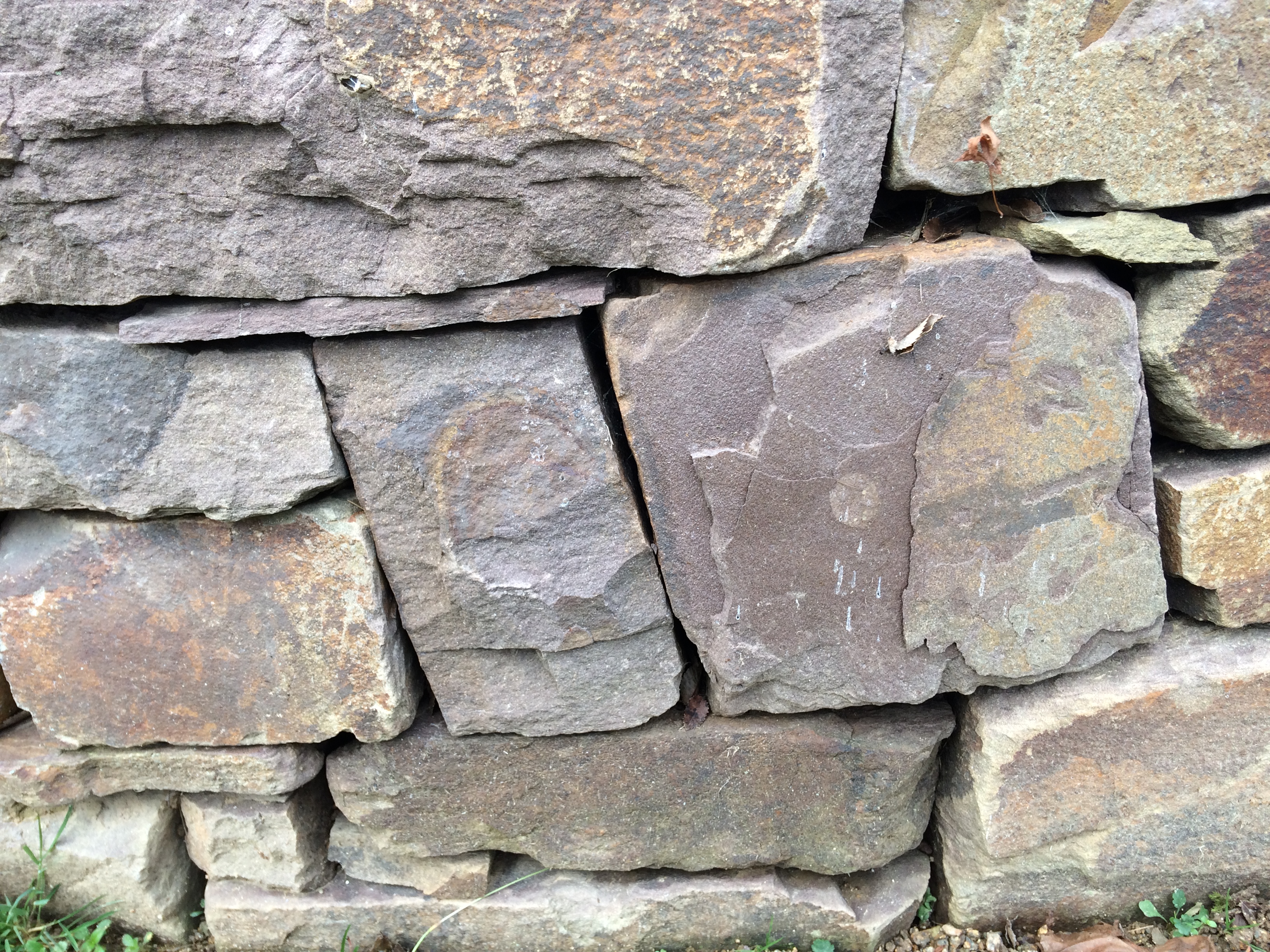 Atelier de découverte : construction en pierre sèche - photo 3