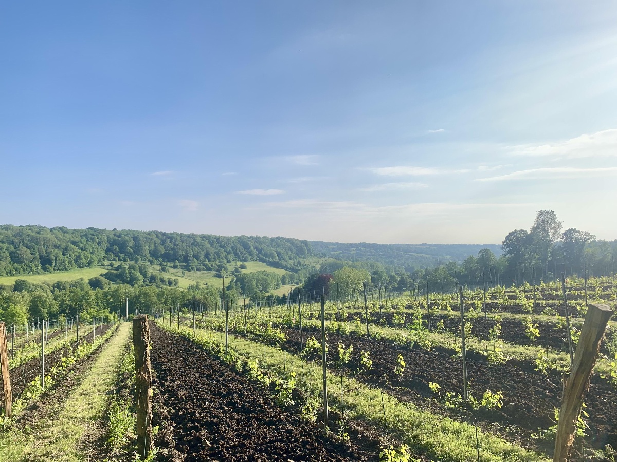 Le Domaine des Déserts - Vignoble en Normandie, Marolles - photo 3
