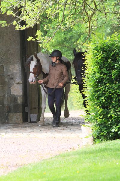 La Rando des Haras Nationaux - Haras National de Saint-Lô - Baudre — photo 2