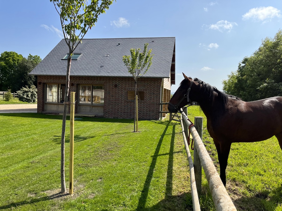 Le Terrier et l'Annexe, Hotot-en-Auge - photo 6
