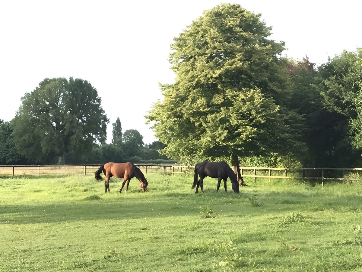 Le gîte Haras des Berthés