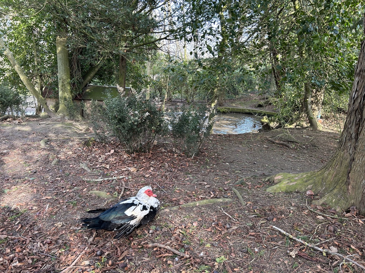 Parc de la Baleine, Luc-sur-Mer - photo 4