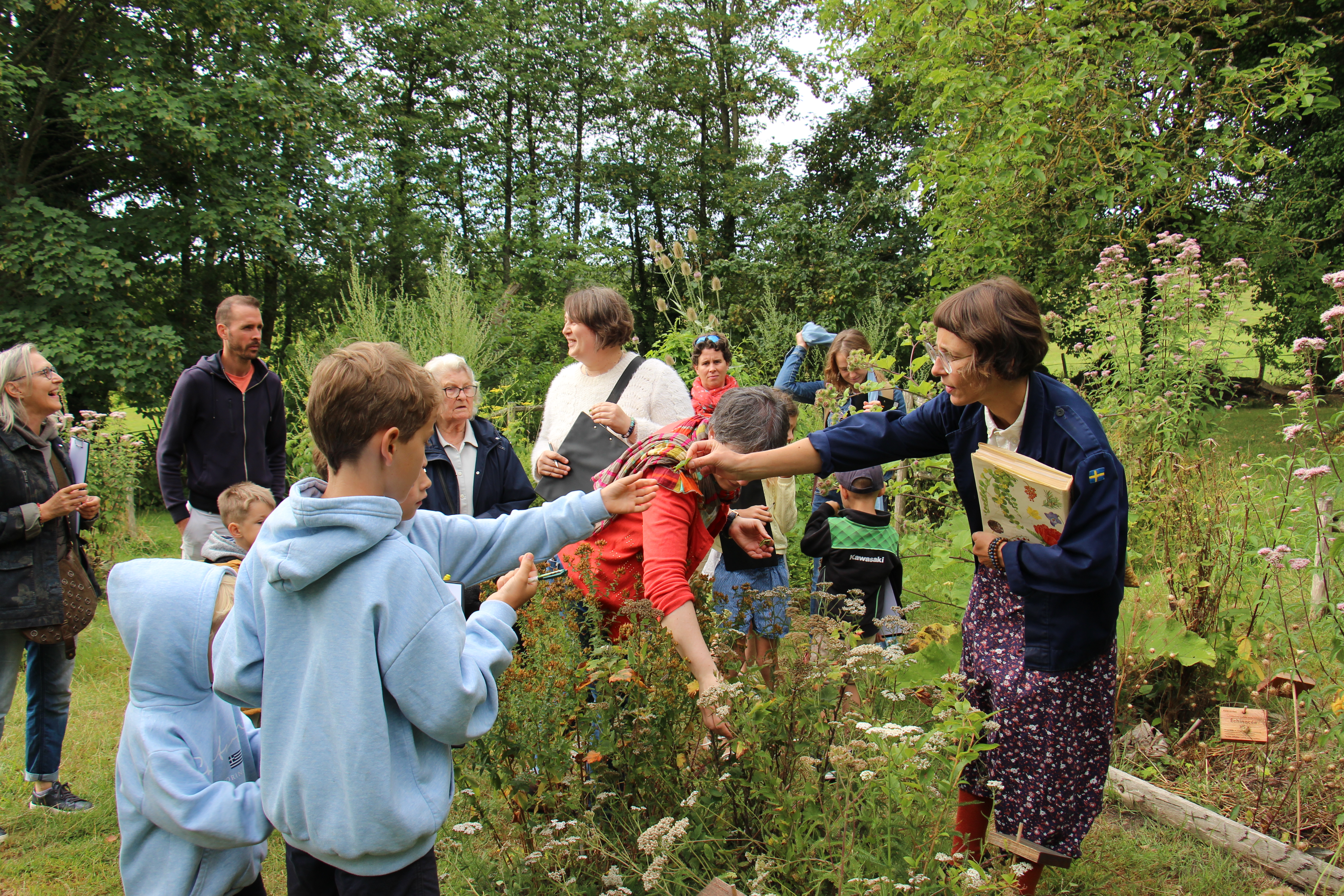Atelier famille herboristerie : Secrets des plantes 