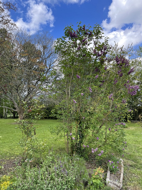 Meublé de tourisme > Meublé L’Escapade, Airel