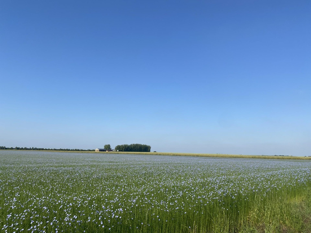 La Ferme de Billy, Rots - photo 8