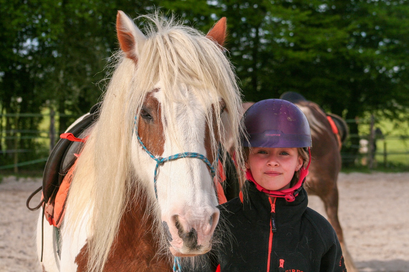 Stage enfant/ado 7-18 ans "Journée découverte" au Domaine de Firfol