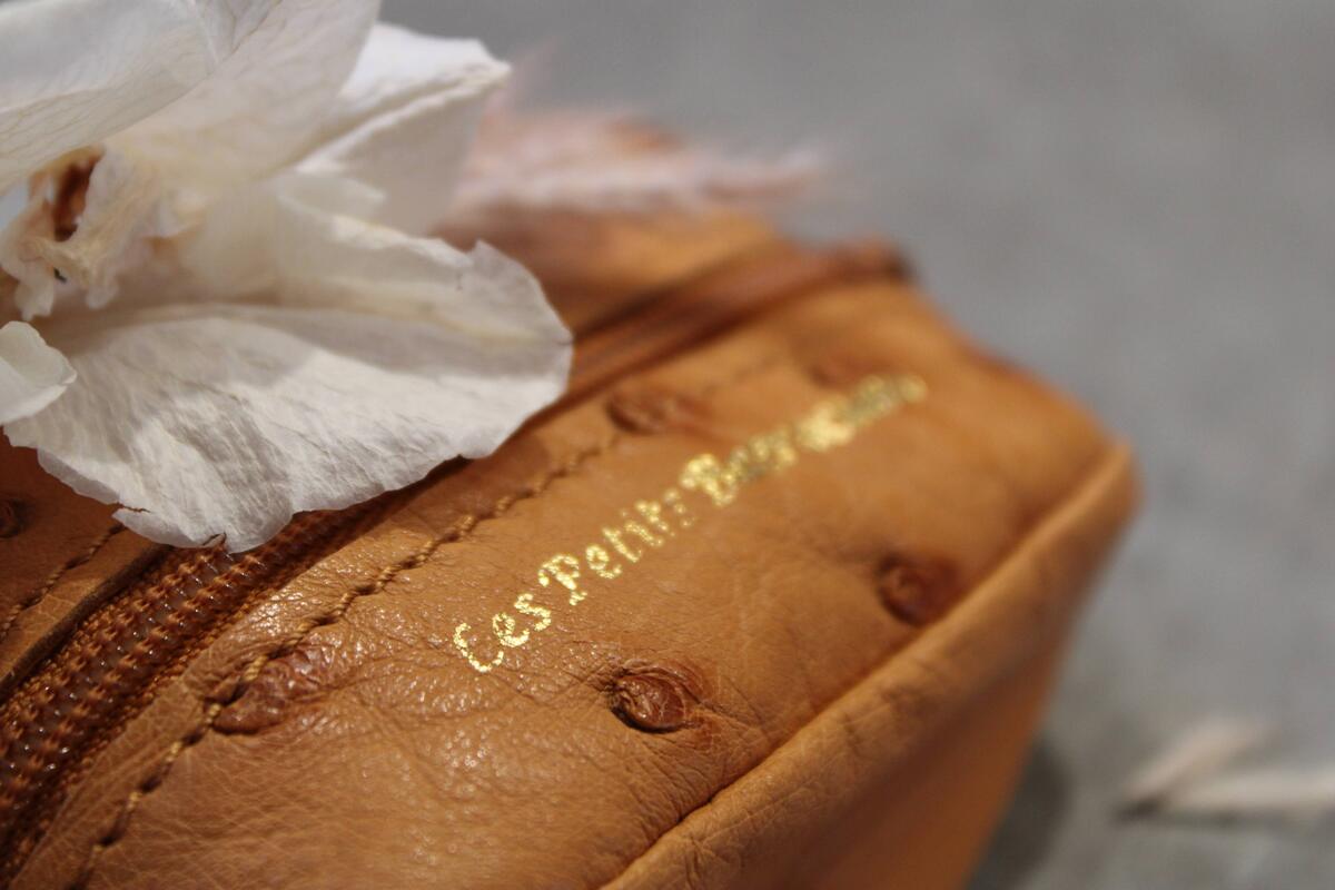 Les Petits Batraciens