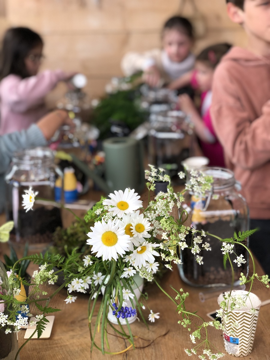 Ateliers créatifs nature – Zlow