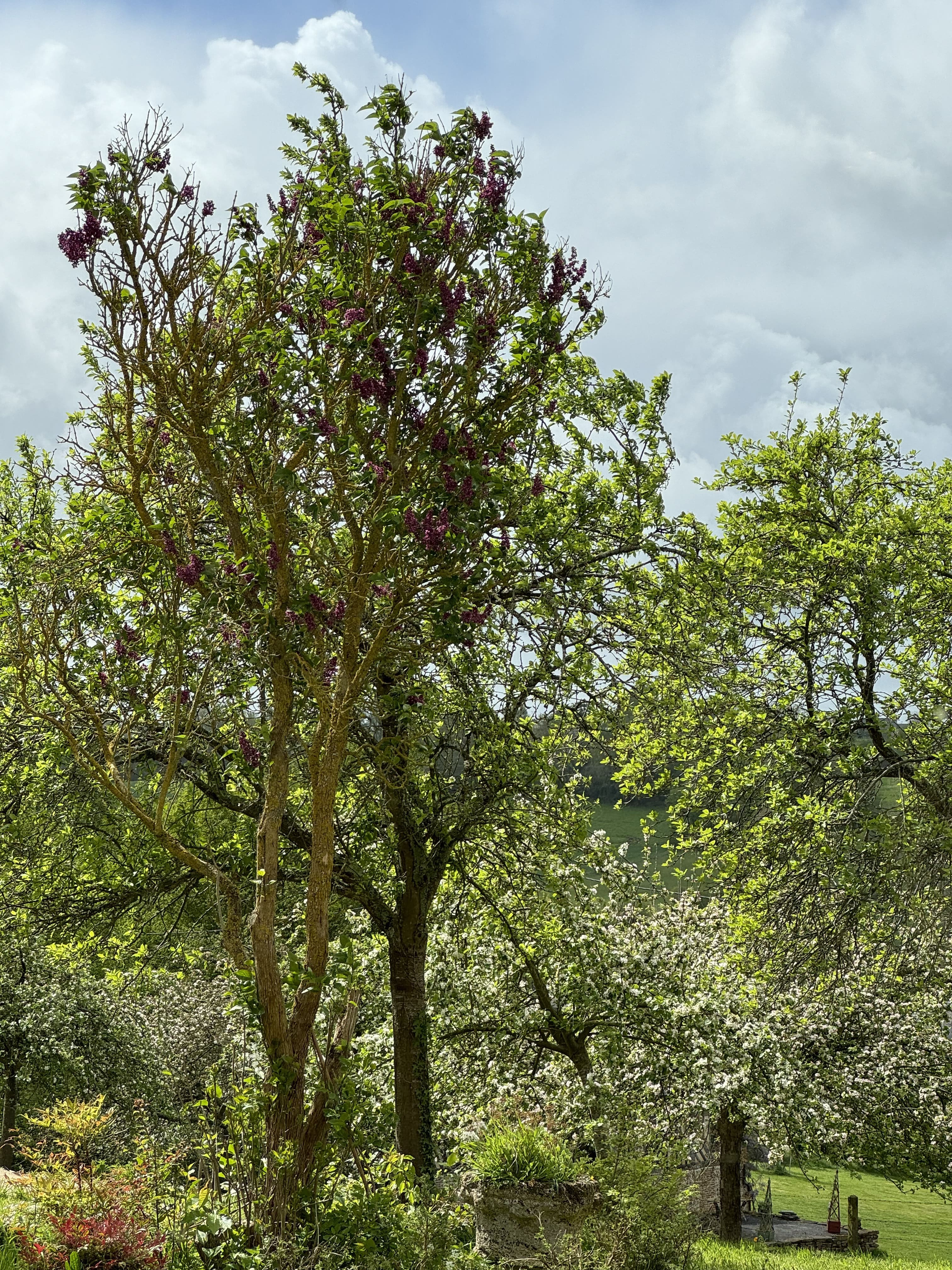 Le Clos du Haut, Manneville-la-Pipard - photo 19