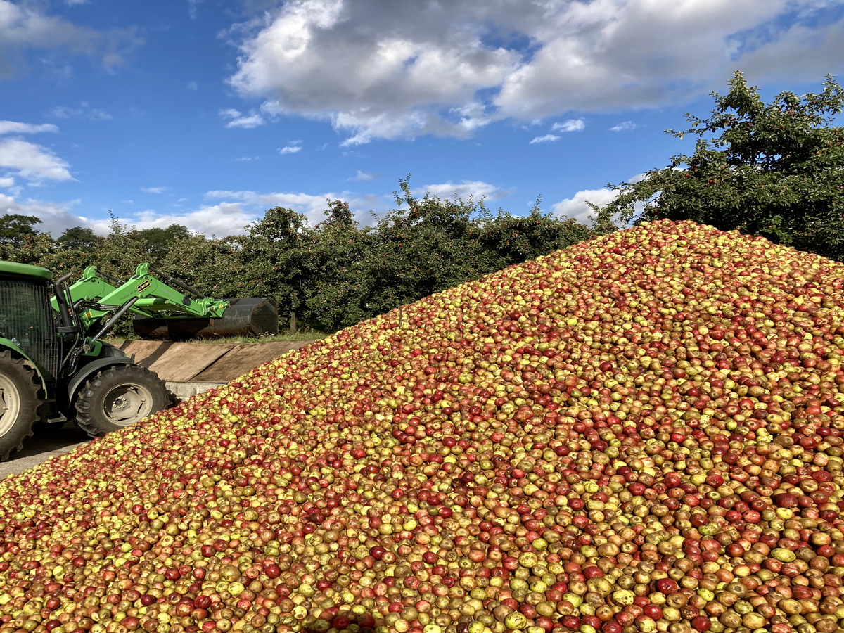 Domaine de la Flaguerie - Les Vergers de Ducy, Ducy-Sainte-Marguerite - photo 7