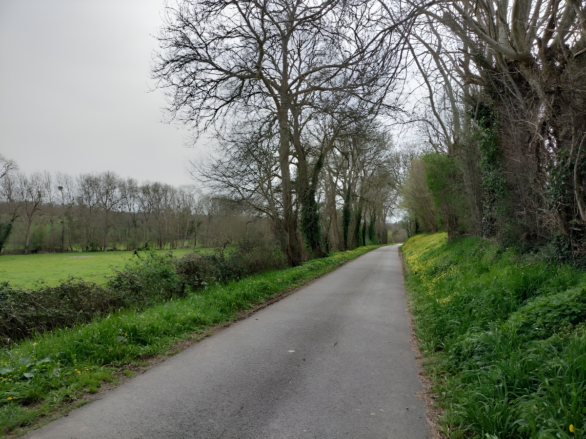 Le Val de Marigny, Longues-sur-Mer - photo 9