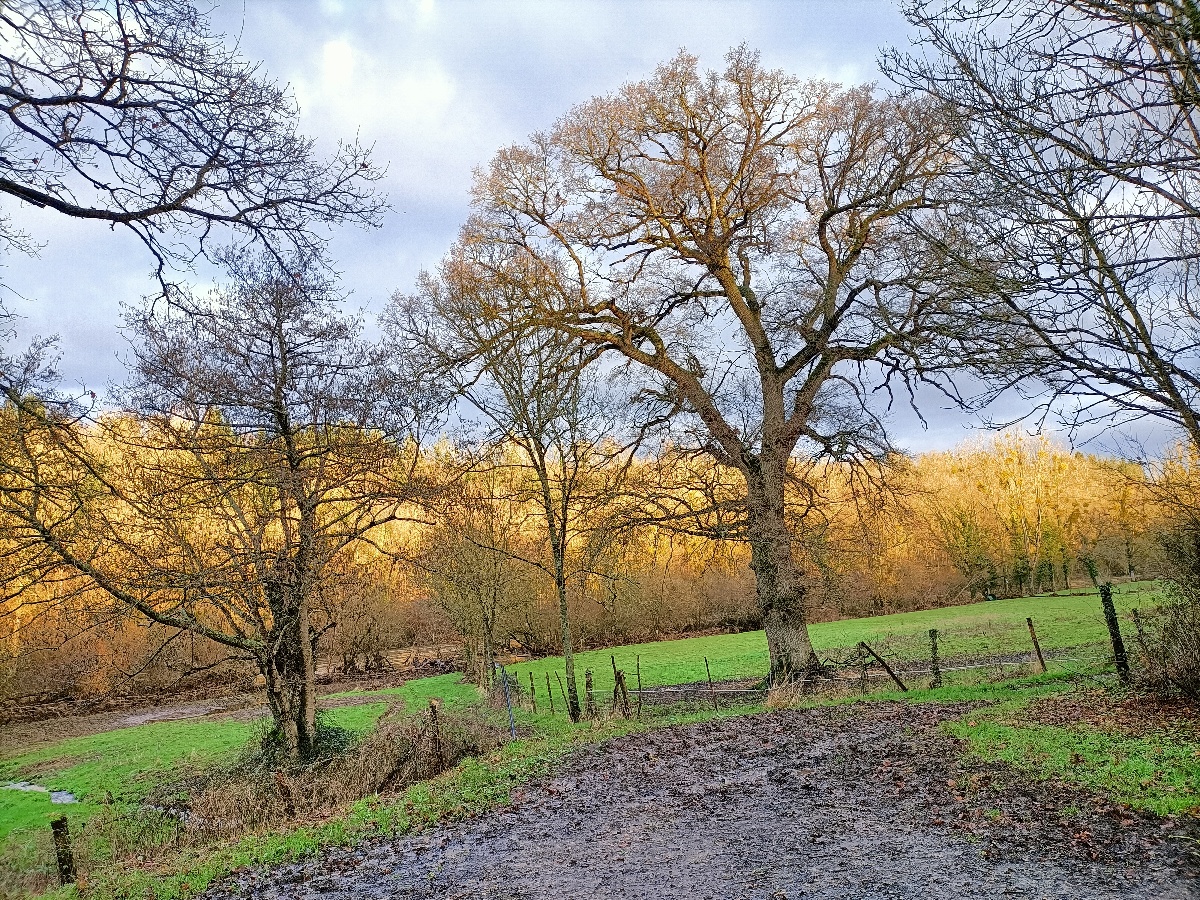 La chambre aux chapeaux, Ouffières