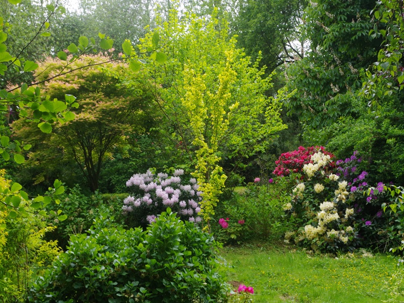 Jardin Le Pré du Moulin