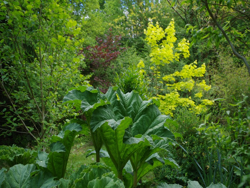 Jardin Le Pré du Moulin