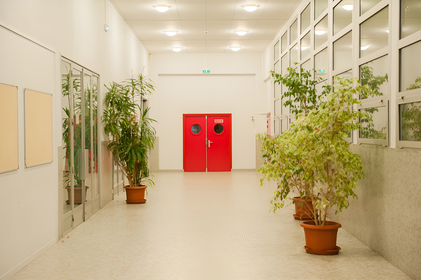 Institut Lemonnier, Caen - photo 6