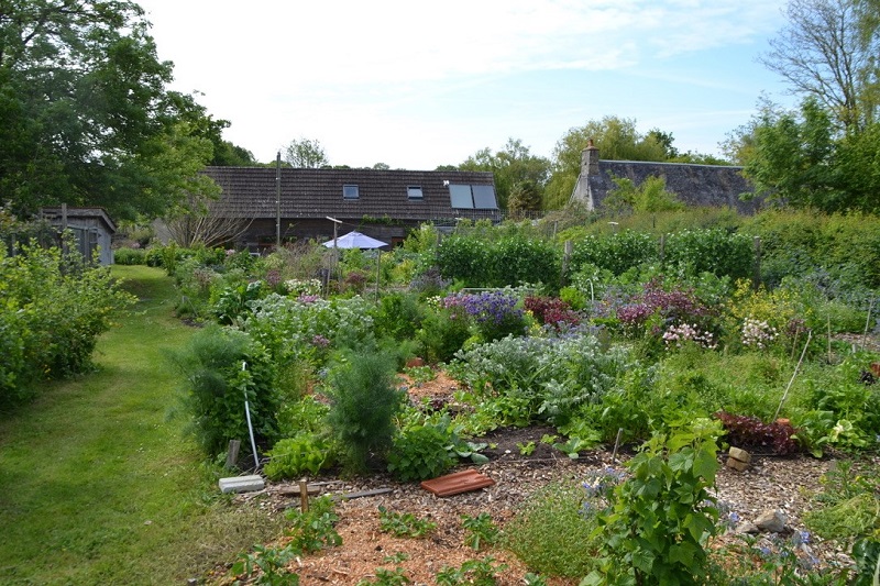 Multiplier vos herbes aromatiques