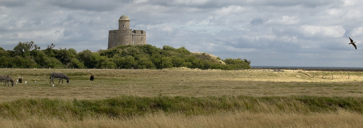 Site naturel de l'Ile Tatihou