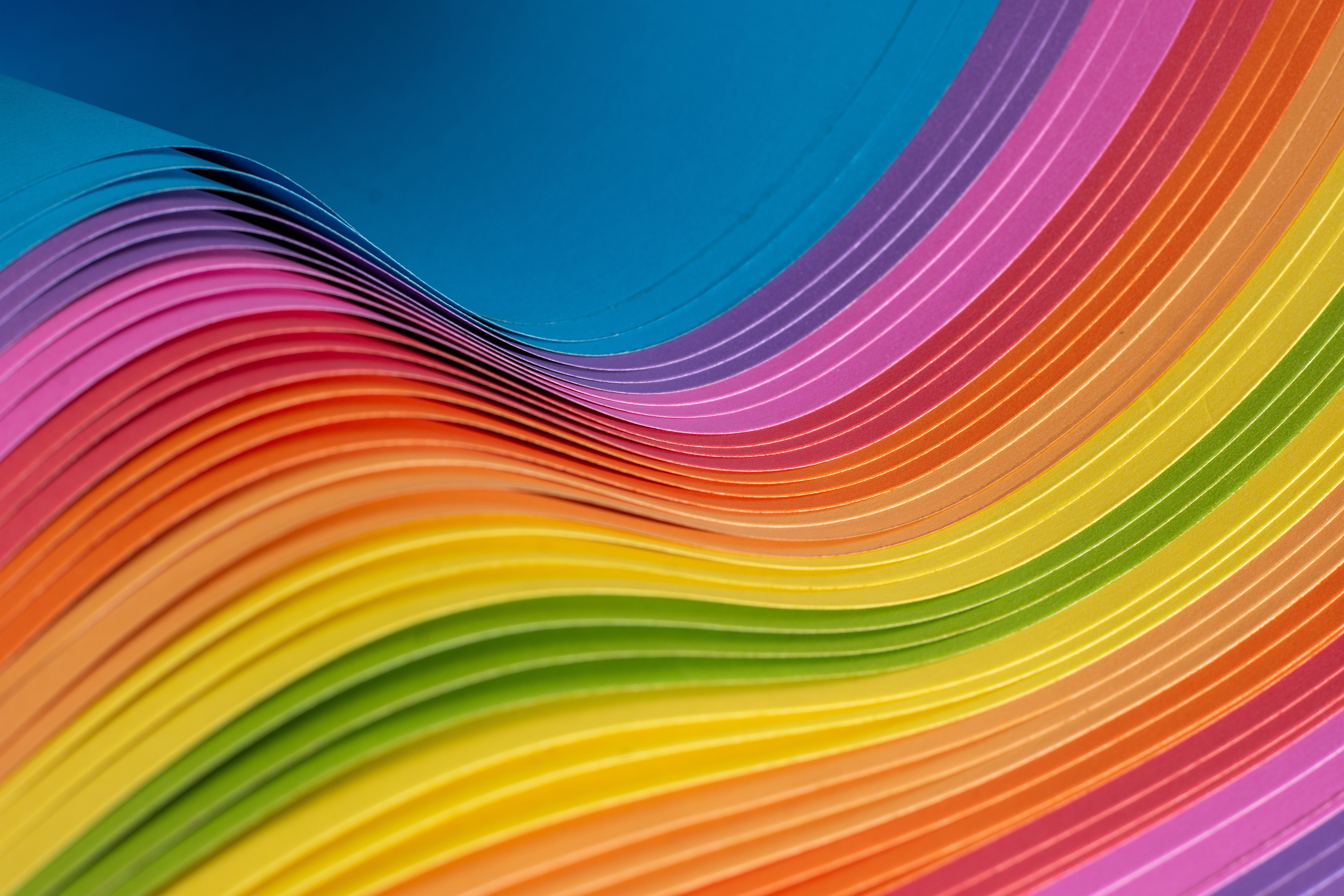 Fête Arc-en-ciel