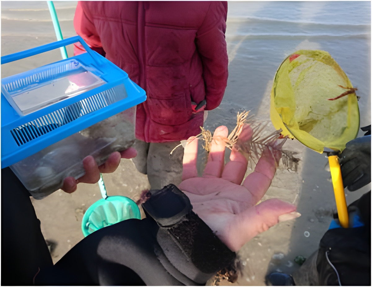 Club de Voile et de Loisirs d'Hermanville (CVLH), Hermanville-sur-Mer - photo 8