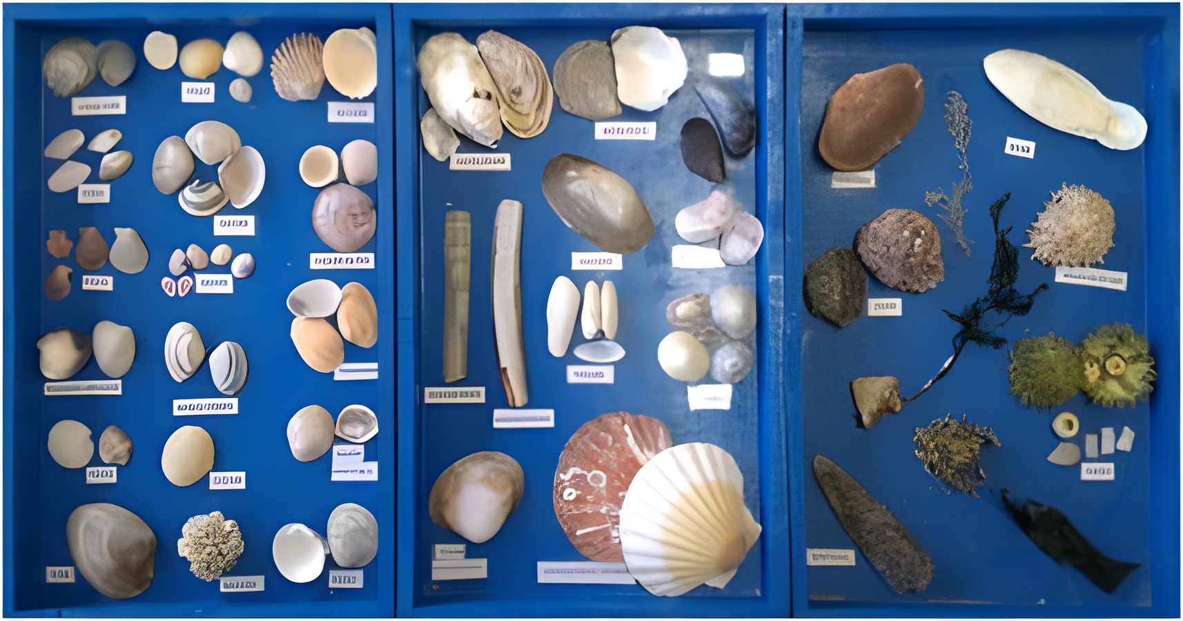 Club de Voile et de Loisirs d'Hermanville (CVLH), Hermanville-sur-Mer - photo 3