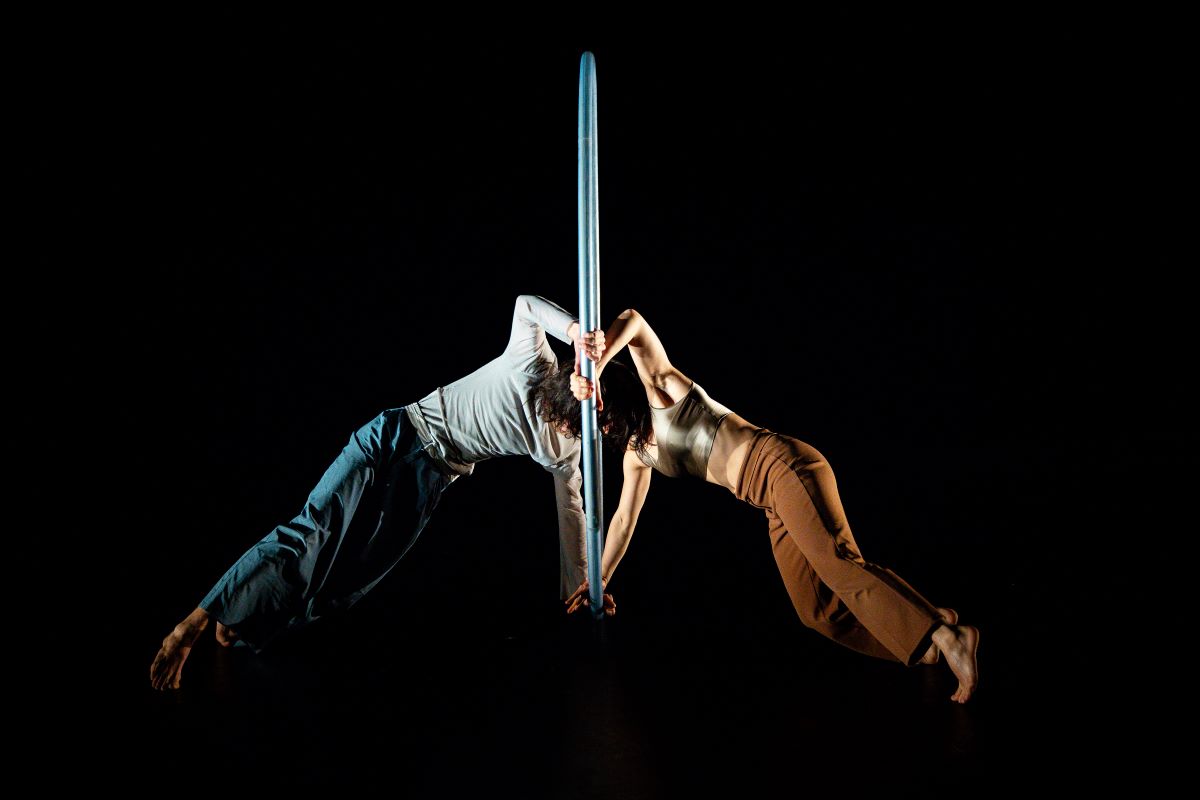 Festival SPRING : In difference