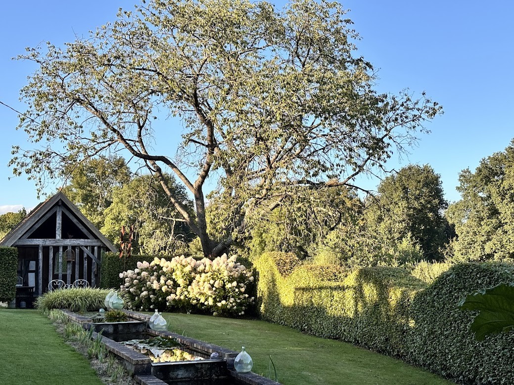 Jardin du Cassel, Isigny-le-Buat - photo 2