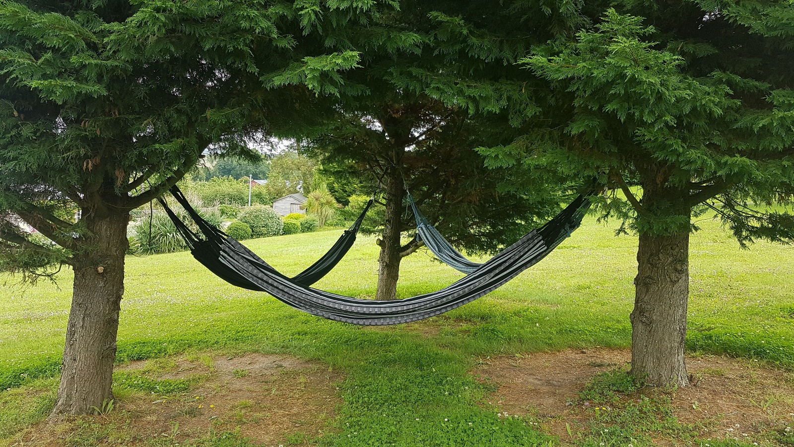 Le domaine des roseraies, Gite Maupassant, Monfréville - photo 13