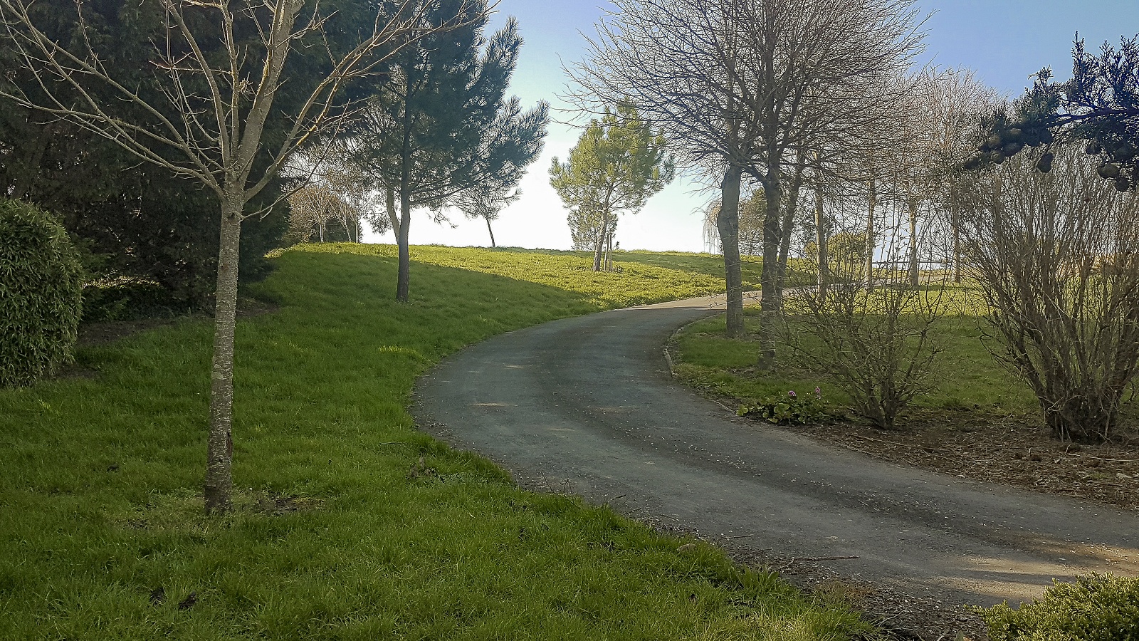 Le domaine des roseraies, Gite Flaubert, Monfréville - photo 11