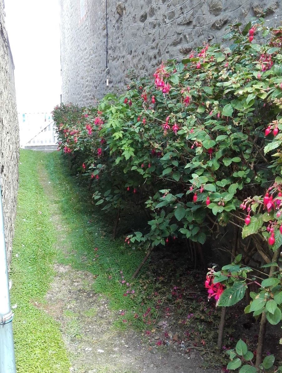 Meublé de tourisme > À Bon Port, Saint-Vaast-la-Hougue - photo 8