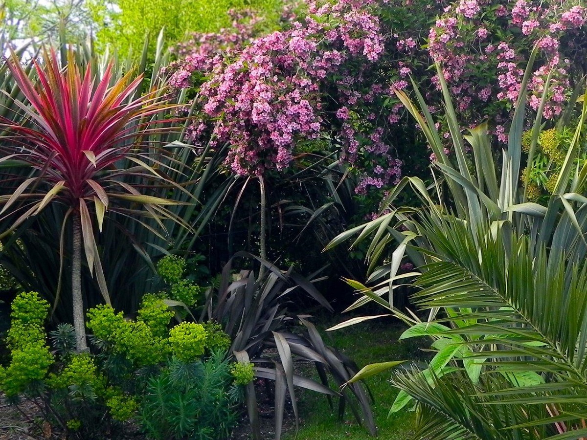 Le Jardin du Radiophare, Cherbourg-en-Cotentin - photo 2