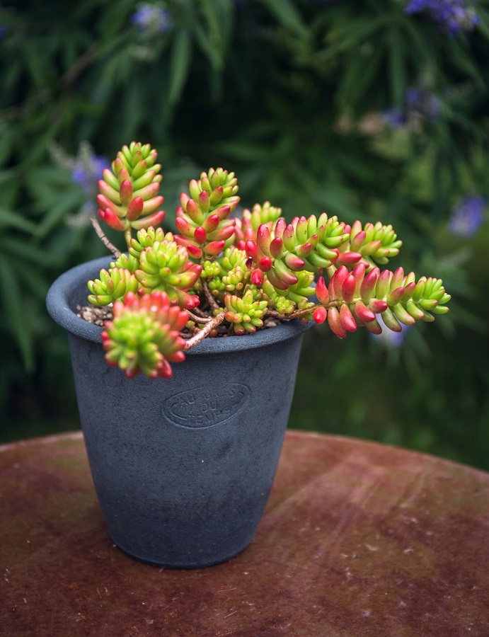 Printemps à l'atelier de la poterie Au Grès du Temps