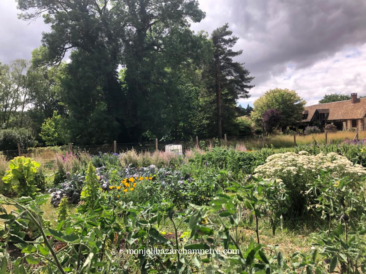 Rendez-vous aux Jardins - Jardin de production de plantes médicinales