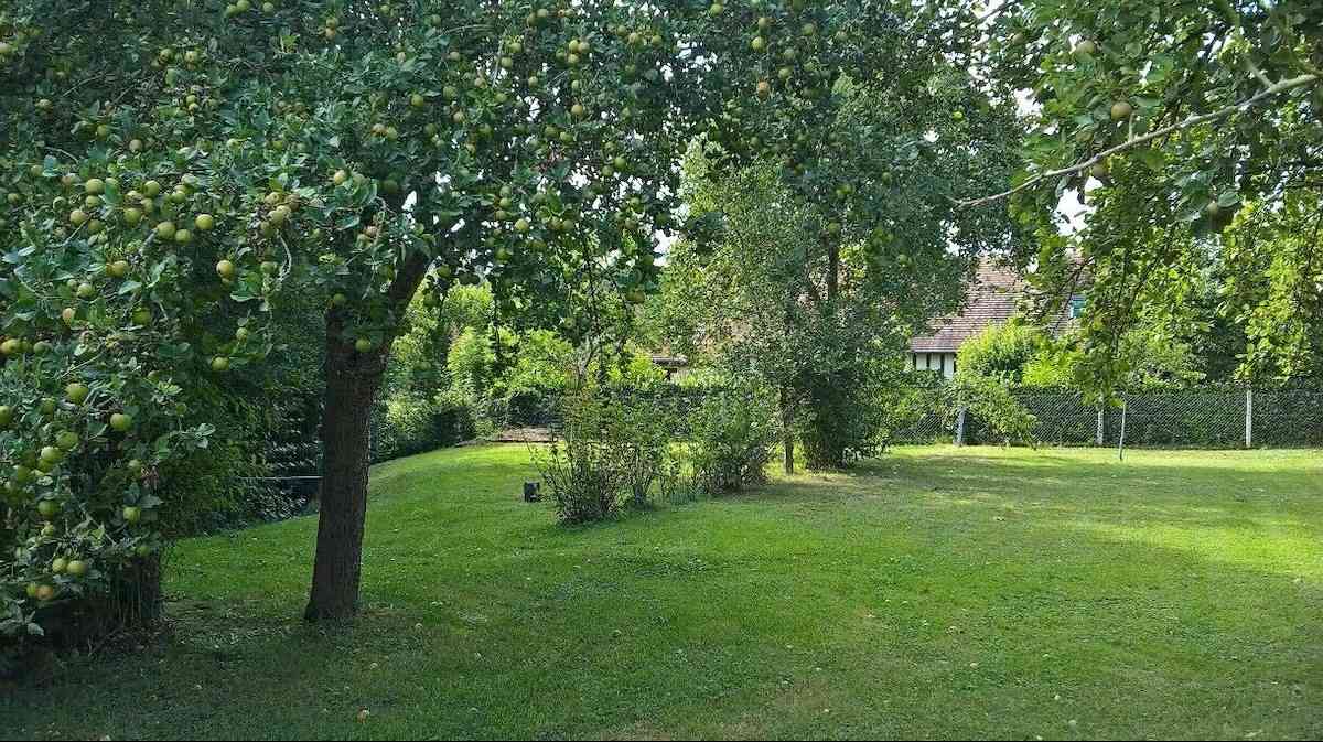 Au cours du Ruisseau