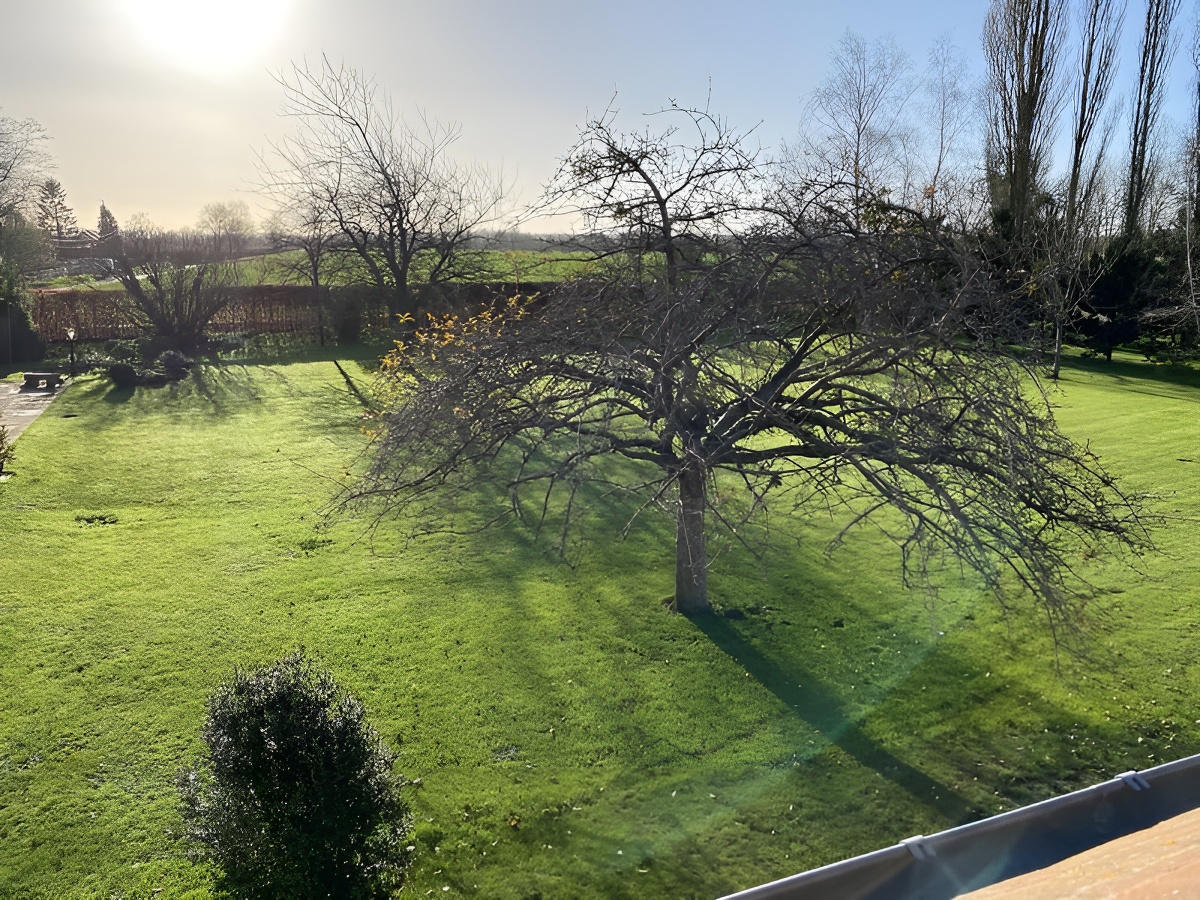 La clé des champs, Belle Vie en Auge - photo 10