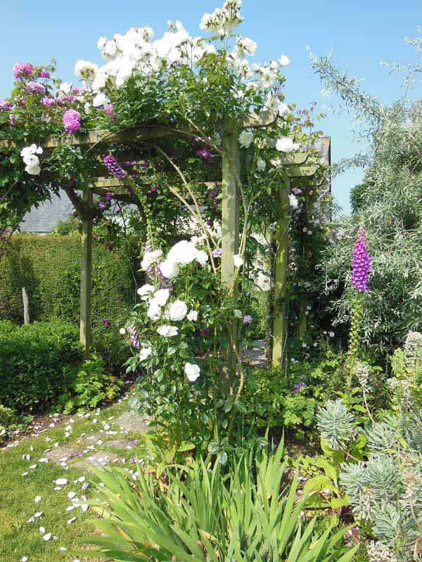 Le Jardin du Presbytère de Brucheville, Carentan-les-Marais - photo 6