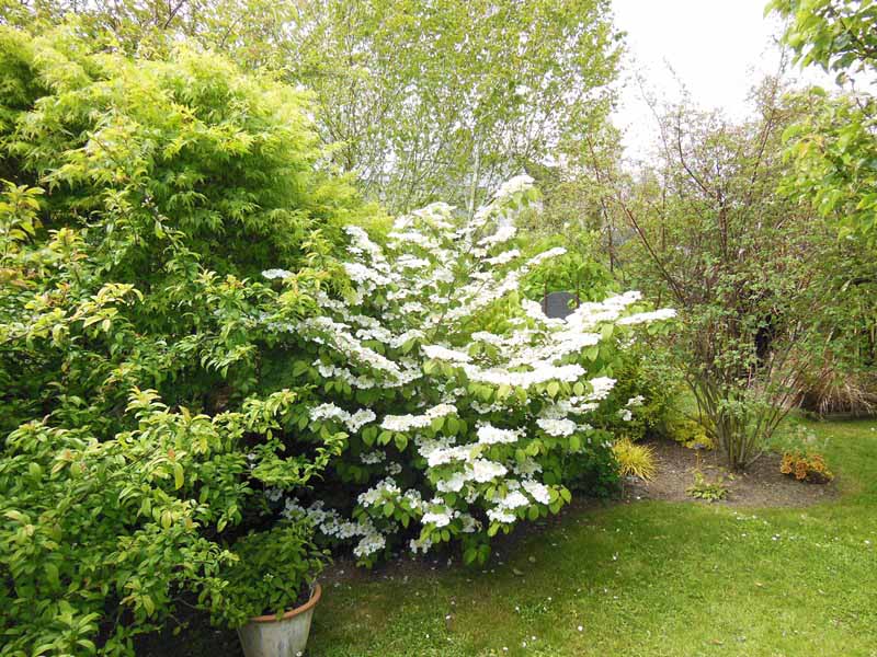 Le Jardin du Presbytère de Brucheville, Carentan-les-Marais - photo 9