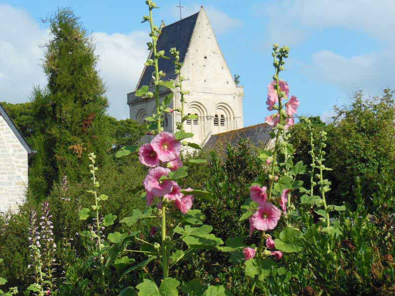 Le Jardin du Presbytère de Brucheville, Carentan-les-Marais - photo 10