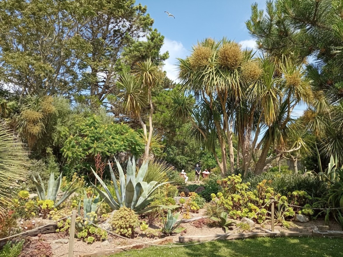 Jardins maritimes de l'île Tatihou, Saint-Vaast-la-Hougue - photo 2
