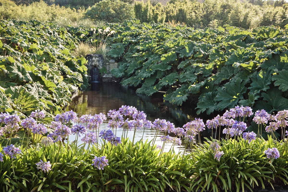 Jardin botanique de Vauville