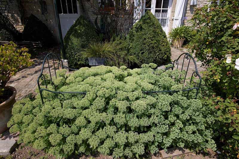 Le Jardin du Marais, Audouville-la-Hubert - photo 7