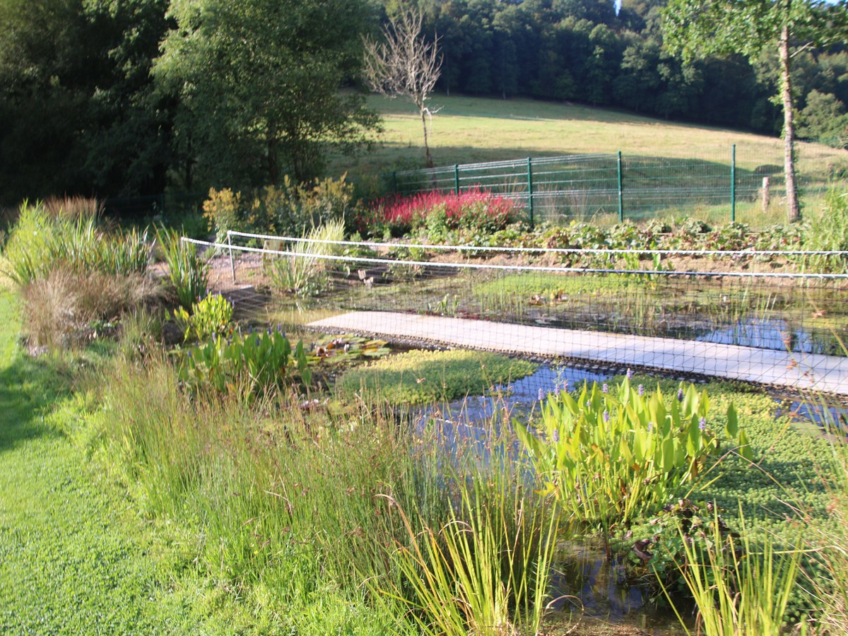 Luge sur rails - Normandie Luge au Viaduc de la Souleuvre, Souleuvre en Bocage - photo 5