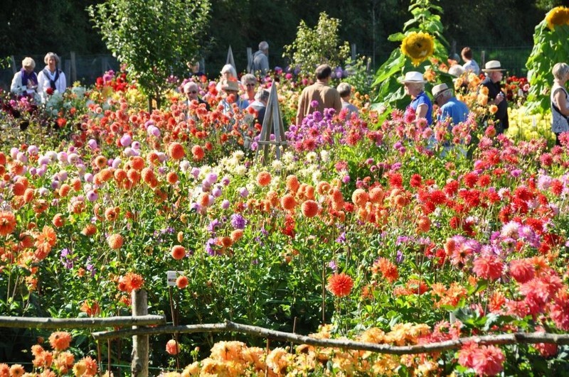 Jardins en Liberté, Coutances - photo 8