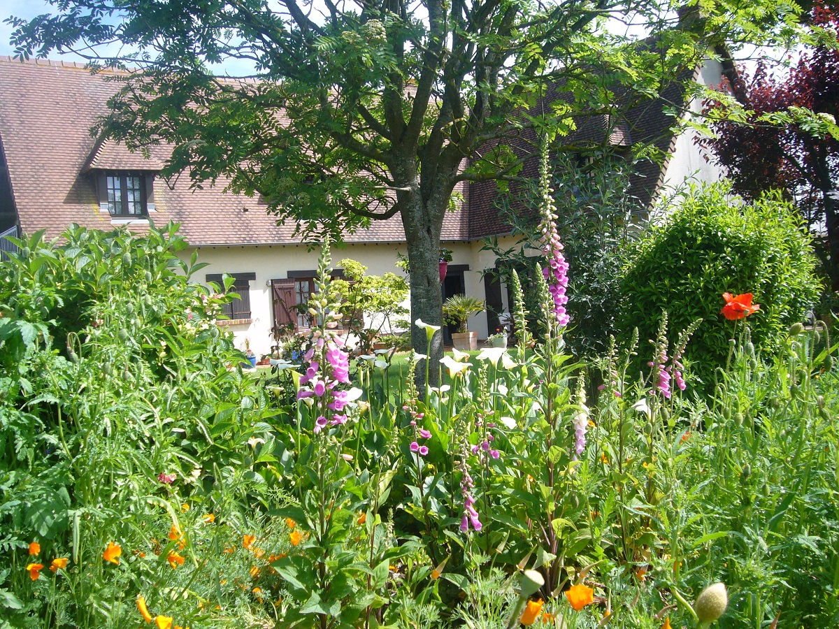 La Roseraie - Chambre Les Coquelicots