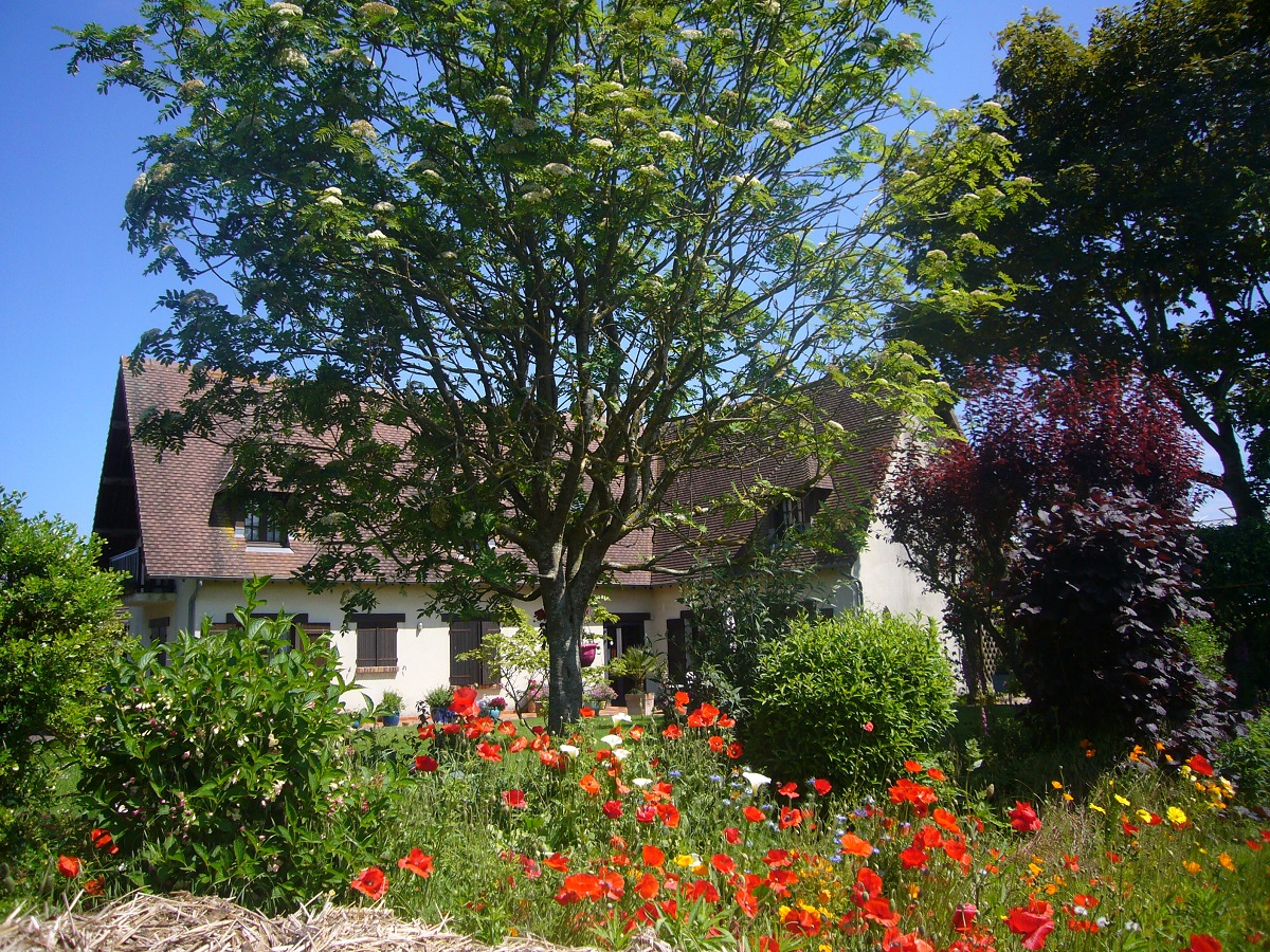 La Roseraie - Chambre Les Coquelicots, Courseulles-sur-Mer - photo 4