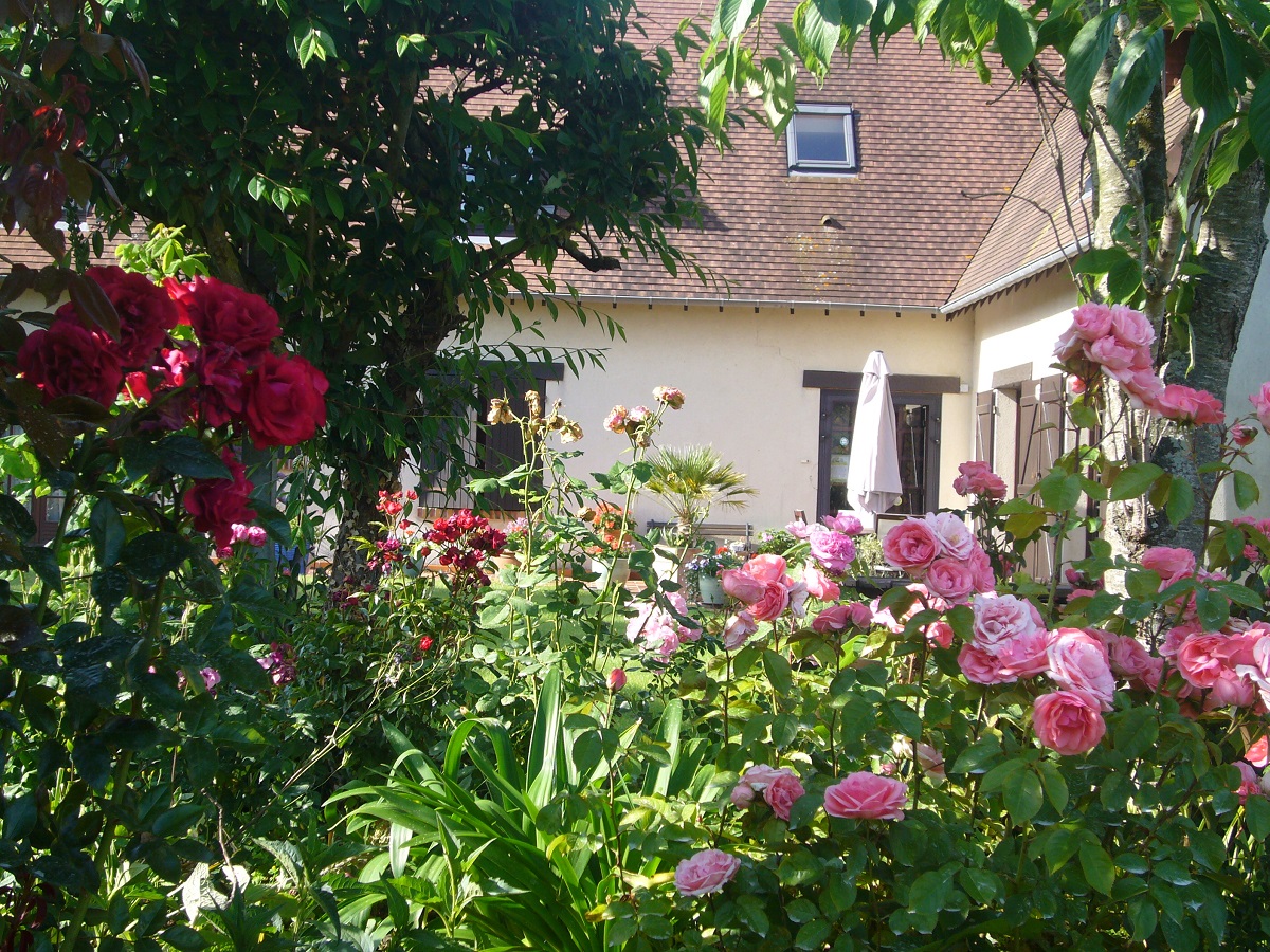 La Roseraie - Chambre Les Coquelicots, Courseulles-sur-Mer - photo 15
