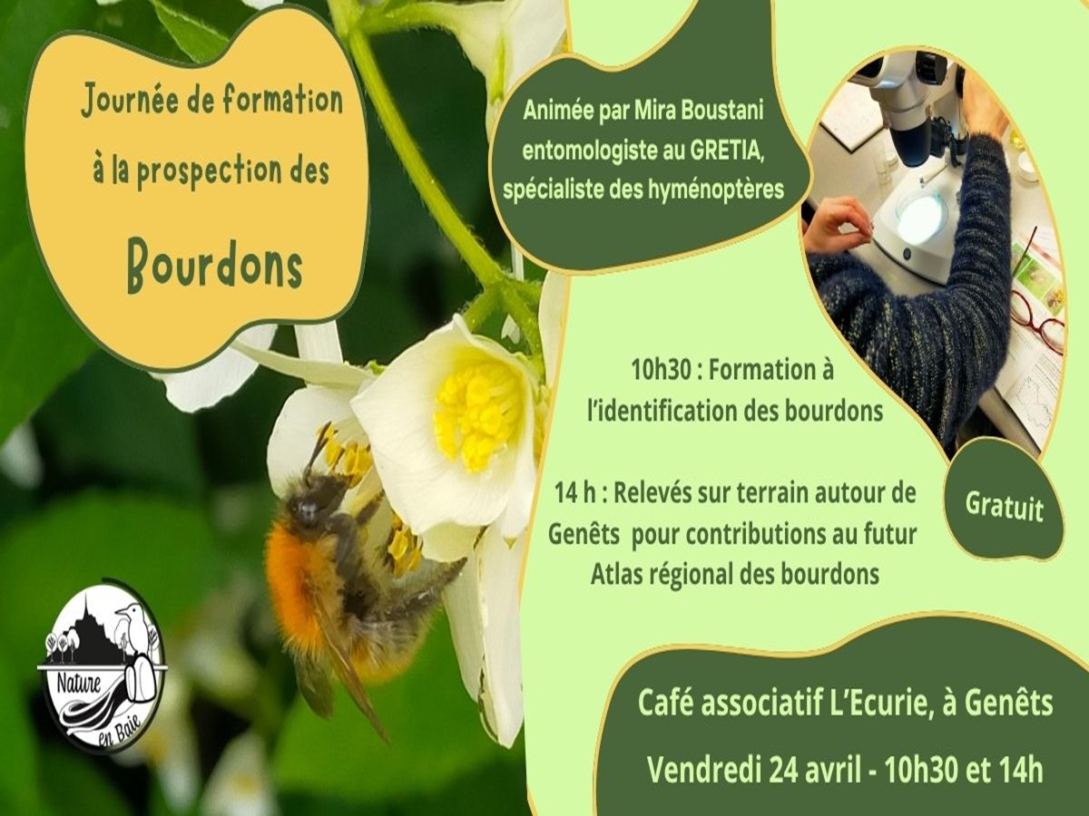 Journée de prospection "Bourdons" — visuel événement