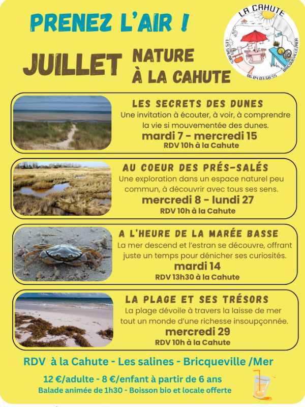 A l'heure de la marée basse