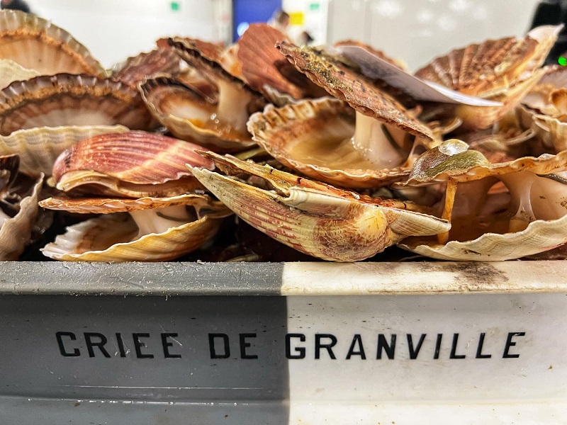 Visite virtuelle 360° de la Halle à marée de Granville, Granville - photo 4