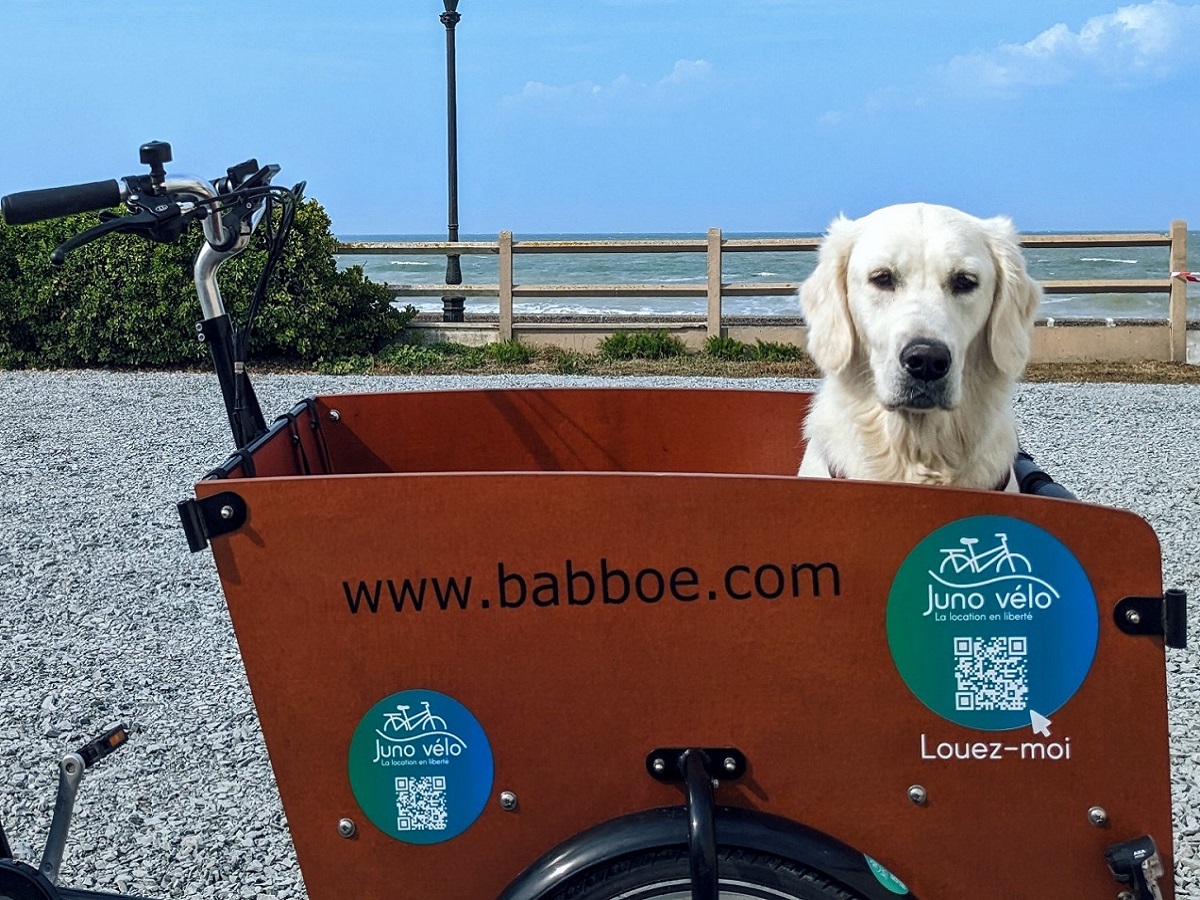 Juno Vélo - Location de vélos à Saint-Aubin-sur-Mer, Saint-Aubin-sur-Mer - photo 7