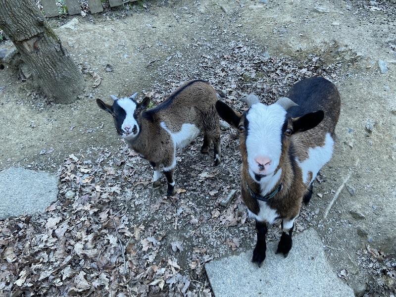 Association Rêver Réalité - photo 3